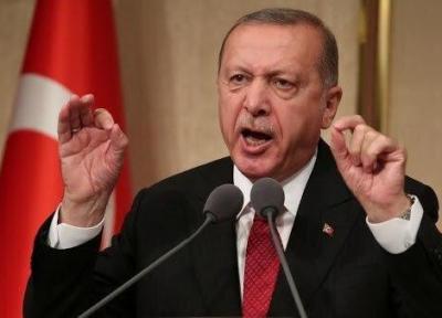 اردوغان: کوشش ترکیه برای ایجاد سرزمین صلح در لیبی است