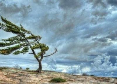 رگبار، رعد و برق و وزش باد شدید پدیده جوی غالب تا خاتمه هفته